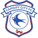 Cardiff City - discountsoccer