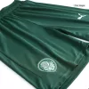 Men's SE Palmeiras Soccer Shorts Away 2023/24 - discountsoccer