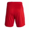 Men's Liverpool Soccer Shorts Home 2023/24 - discountsoccer