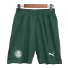 Men's SE Palmeiras Soccer Shorts Away 2023/24 - discountsoccer